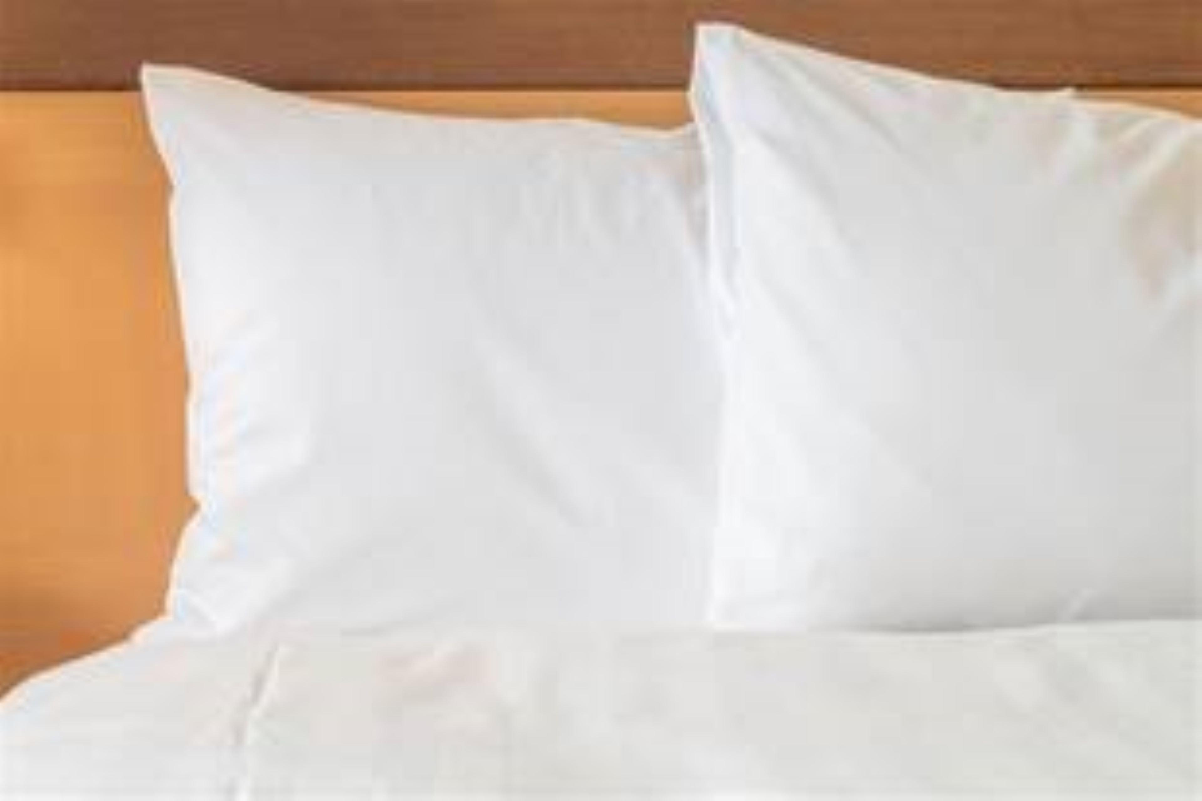Holiday Inn Express Indianapolis Airport By Ihg Plainfield Buitenkant foto